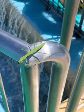 ひらかたパークに投稿された画像（2023/8/12）