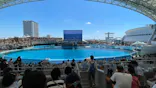 名古屋港水族館に投稿された画像（2023/8/12）