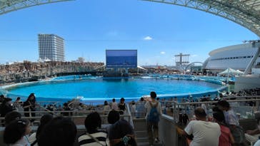 名古屋港水族館に投稿された画像（2023/8/12）