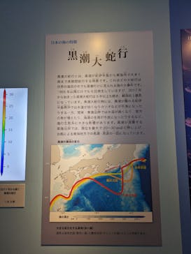 特別展「海　―生命のみなもと―」（国立科学博物館）に投稿された画像（2023/8/12）