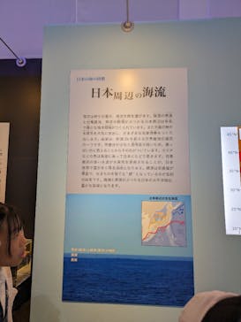 特別展「海　―生命のみなもと―」（国立科学博物館）に投稿された画像（2023/8/12）