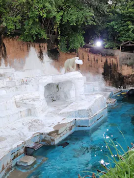 天王寺動物園に投稿された画像（2023/8/12）