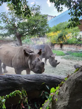 天王寺動物園に投稿された画像（2023/8/12）