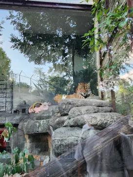 天王寺動物園に投稿された画像（2023/8/12）