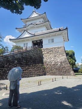 小田原城に投稿された画像（2023/8/11）