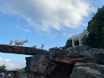 到津の森公園に投稿された画像（2023/8/12）