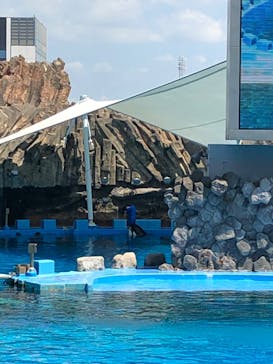 名古屋港水族館に投稿された画像（2023/8/12）