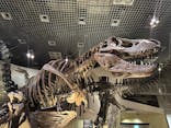 国立科学博物館に投稿された画像（2023/8/12）