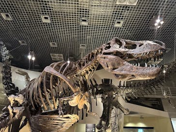 国立科学博物館に投稿された画像（2023/8/12）