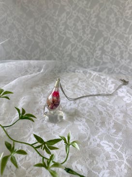 ずこうしつ〜sugamo〜に投稿された画像（2023/8/12）