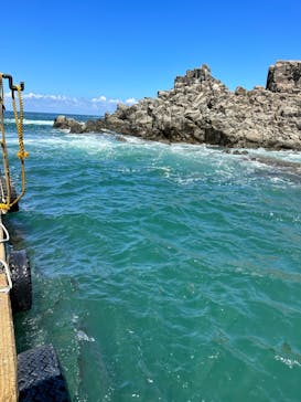 東尋坊観光遊覧船株式会社に投稿された画像（2023/8/12）