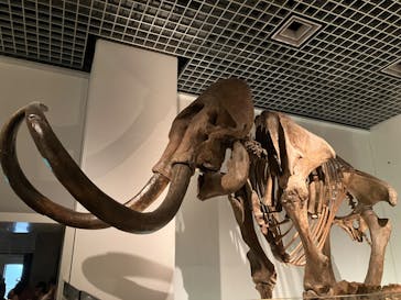 国立科学博物館に投稿された画像（2023/8/12）