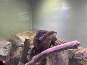 マクセル アクアパーク品川に投稿された画像（2023/8/12）