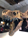 DinoScience 恐竜科学博 2023@TOKYO MIDTOWNに投稿された画像（2023/8/12）