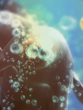 東京ジョイポリスに投稿された画像（2023/8/12）