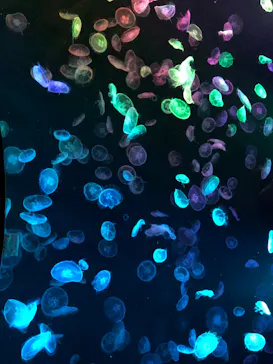 すみだ水族館に投稿された画像（2023/8/12）