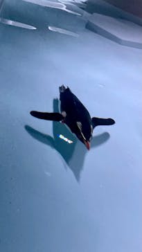 AOAO SAPPOROに投稿された画像（2023/8/12）