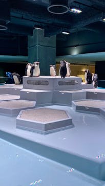 AOAO SAPPOROに投稿された画像（2023/8/12）