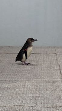 AOAO SAPPOROに投稿された画像（2023/8/12）