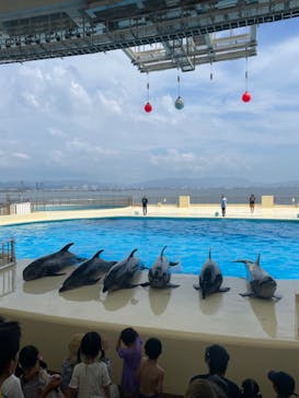 マリンワールド海の中道に投稿された画像（2023/8/12）