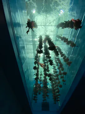 仙台うみの杜水族館に投稿された画像（2023/8/12）