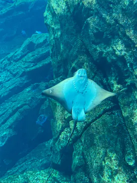 仙台うみの杜水族館に投稿された画像（2023/8/12）
