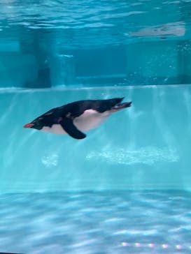 AOAO SAPPOROに投稿された画像（2023/8/12）