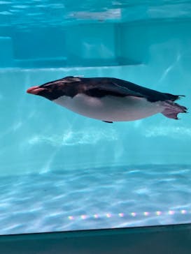 AOAO SAPPOROに投稿された画像（2023/8/12）