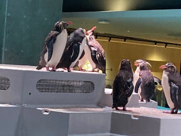 AOAO SAPPOROに投稿された画像（2023/8/12）