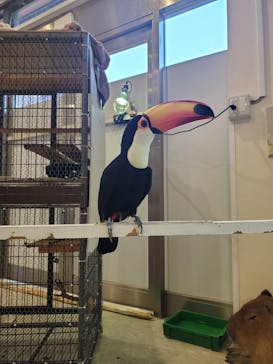 アニタッチみなとみらいに投稿された画像（2023/8/12）