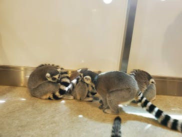 アニタッチみなとみらいに投稿された画像（2023/8/12）