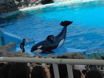 名古屋港水族館に投稿された画像（2023/8/12）