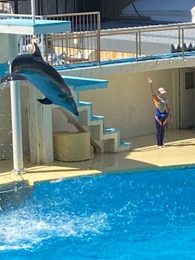 伊豆・三津シーパラダイスに投稿された画像（2023/8/12）