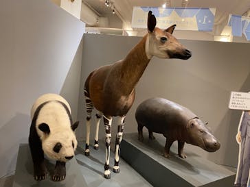 国立科学博物館に投稿された画像（2023/8/12）