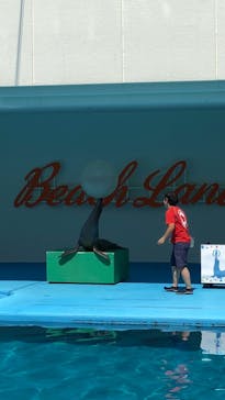 南知多ビーチランド＆南知多おもちゃ王国に投稿された画像（2023/8/12）