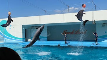 南知多ビーチランド＆南知多おもちゃ王国に投稿された画像（2023/8/12）