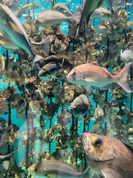 仙台うみの杜水族館に投稿された画像（2023/8/12）