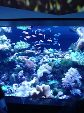 マクセル アクアパーク品川に投稿された画像（2023/8/12）