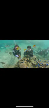 武藤潜水に投稿された画像（2023/8/12）