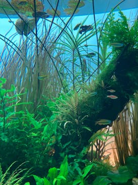 AOAO SAPPOROに投稿された画像（2023/8/12）