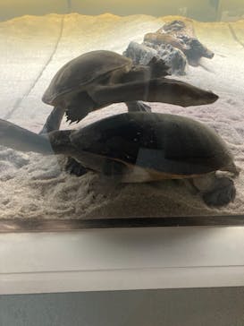 AOAO SAPPOROに投稿された画像（2023/8/12）