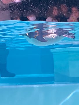 AOAO SAPPOROに投稿された画像（2023/8/12）