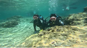 武藤潜水に投稿された画像（2023/8/12）