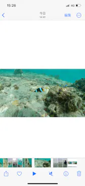 武藤潜水に投稿された画像（2023/8/12）