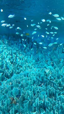 サンシャイン水族館に投稿された画像（2023/8/12）