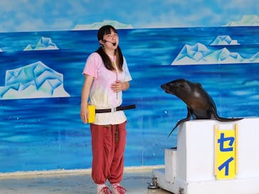 東北サファリパークに投稿された画像（2023/8/12）