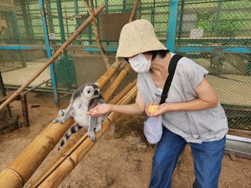 東北サファリパークに投稿された画像（2023/8/12）