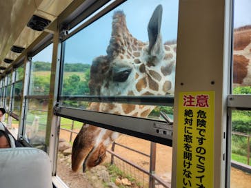 東北サファリパークに投稿された画像（2023/8/12）