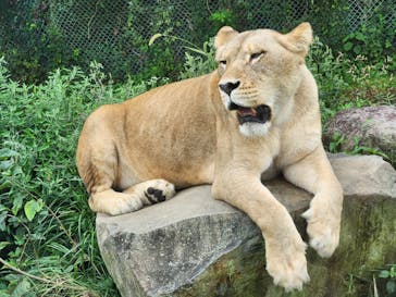 東北サファリパークに投稿された画像（2023/8/12）