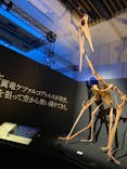 DinoScience 恐竜科学博 2023@TOKYO MIDTOWNに投稿された画像（2023/8/12）